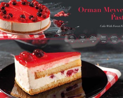 orman_meyveli_pasta-600x400-1 ARYA CAKE ORMAN MEYVELİ PASTA 12 DLM