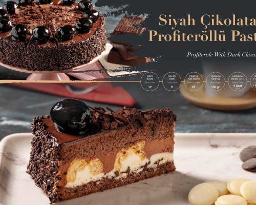 ARYA CAKE SİYOK PROFİTEROLLÜ PASTA  12 DLM