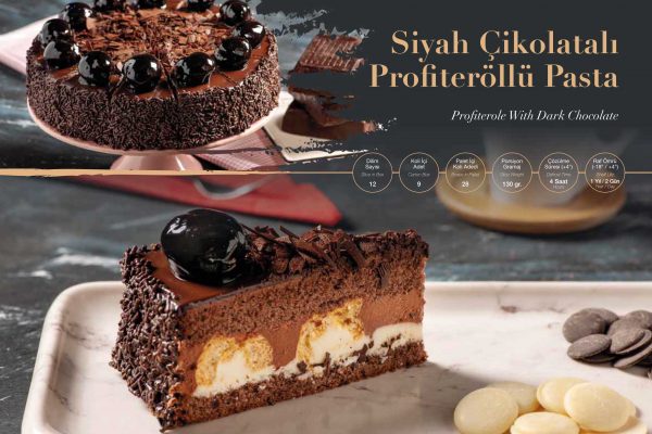 ARYA CAKE SİYOK PROFİTEROLLÜ PASTA  12 DLM