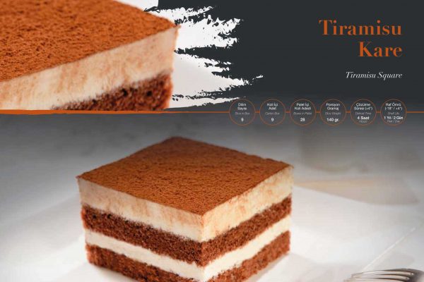 ARYA CAKE KARE TİRAMİSU 9 DLM